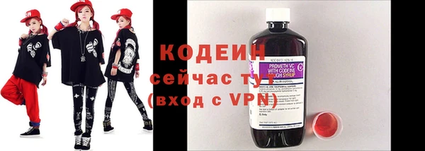 соль ск Абаза